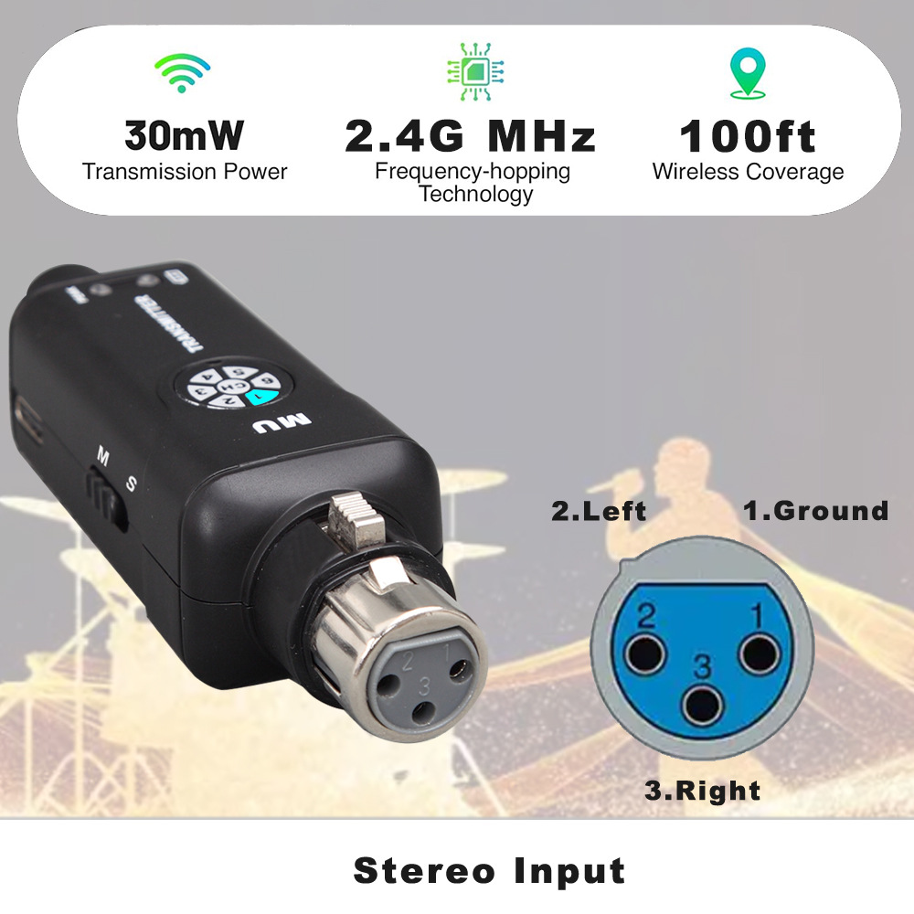 2.4G Wireless In Ear Monitor S - In Ear Monitors For Singers recension och pris